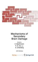 Mechanisms of Secondary Brain Damage