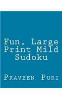 Fun, Large Print Mild Sudoku