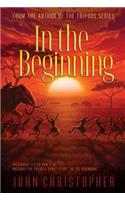 In the Beginning