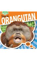 Being an Orangutan