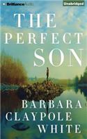Perfect Son