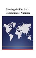 Meeting the Fast Start Commitment