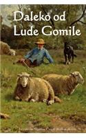 Daleko Od Lude Gomile: Far from the Madding Crowd (Bosnian Edition)