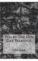 Walks The Dim Day Wakeful