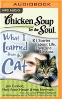 Chicken Soup for the Soul: What I Learned from the Cat