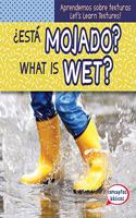 ¿Está Mojado? / What Is Wet?: (Aprendemos Sobre Texturas / Let's Learn Textures!)