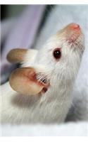 Little White Mouse with a Pink Nose Pet Journal