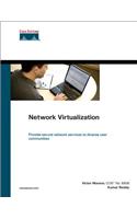 Network Virtualization