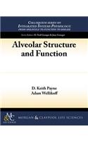Alveolar Structure and Function