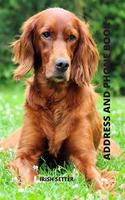 Address and Phone Book: Irish Setter Dog Lover Gift (with discreet password journal section), Organized in Alphabetical Order, Discreet internet page section. A convenient 