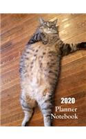 2020 Planner Notebook: Funny Tabby Cat Planner Book With Monthly and Weekly Calendars, Monthly Habit Tracker, Vision Board and Brain Dump Sheets