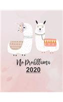 No Probllama 2020: Cute Pink Floral Llama 2020 Planner Dated Journal Notebook Organizer Gift - Daily Weekly Monthly Annual Activities Calendars Notes To Do Lists - 130