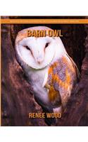 Barn Owl