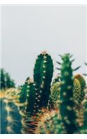 Bullet Journal Cactus Plants Photograph Notebook Dotted Journal: 120 Paged, Bullet Journal, dot grid notebook, 6 x 9 (15.2 x 22.9 cm)
