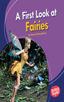 First Look at Fairies