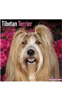 Tibetan Terrier Calendar 2018