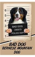 Bad Dog Bernese Mountain Dog