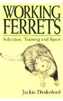 Working Ferrets
