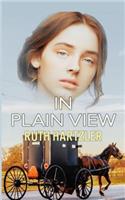 In Plain View: (2 Amish Safe House Christian Romantic Suspense)