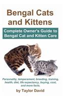 Bengal Cats and Kittens