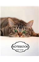Notebook Journal : Tabby: Pocket Notebook Journal Diary, 120 pages, 8.5 x 11 (Dot-Grid,Graph,Lined,Blank Notebook Journal)