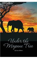 Under the Mopane Tree