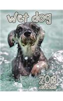 Wet Dog 2018 Calendar (UK Edition)