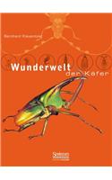 Wunderwelt Der Kafer