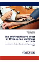 antihypertensive effect of Orthosiphon stamineus extracts