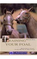Training Your Foal