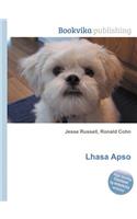 Lhasa Apso