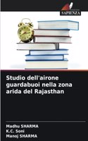 Studio dell'airone guardabuoi nella zona arida del Rajasthan