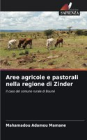 Aree agricole e pastorali nella regione di Zinder