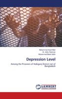 Depression Level