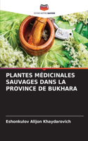 Plantes Médicinales Sauvages Dans La Province de Bukhara