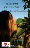 Almendras sobre el césped