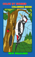 Color By Number Coloring Book