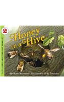 Honey In A Hive