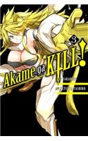 Akame Ga Kill!, Vol. 3