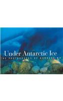 Under Antarctic Ice