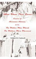 What Mean These Stones?: Lessons of Hurricane Katrina, 9/11, The Million Man March The Millions More Movement(English)