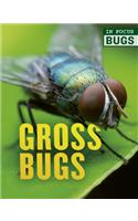 Gross Bugs: (In Focus: Bugs)