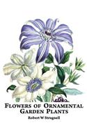 Flowers of Ornamental Garden Plants