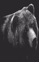 Grizzly Bear Notebook: Grizzly Bear Notebook, Journal, Diary size 6x9
