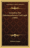 Grundriss Der Erkenntnistheorie Und Logik (1894)