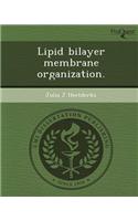 Lipid Bilayer Membrane Organization