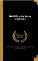 Wild Life in the Rocky Mountains