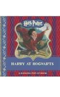 Harry Potter: Harry at Hogwarts Hanging Pop-Up