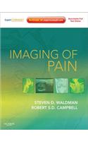 Imaging of Pain E-Book