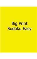 Big Print Sudoku Easy